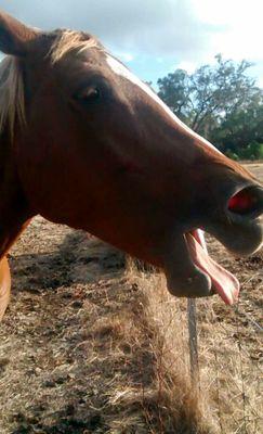 photography, music, movies, dogs, horses, birds, wildlife!