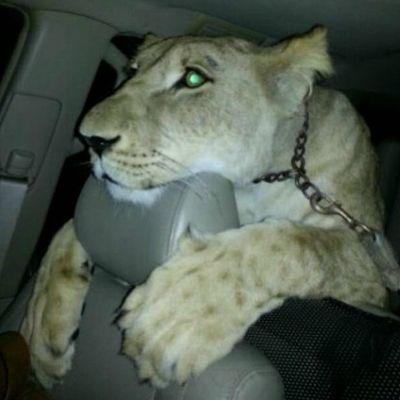  الصداقة تحفة تزداد قيمتها كلما مضى عليها الزمن