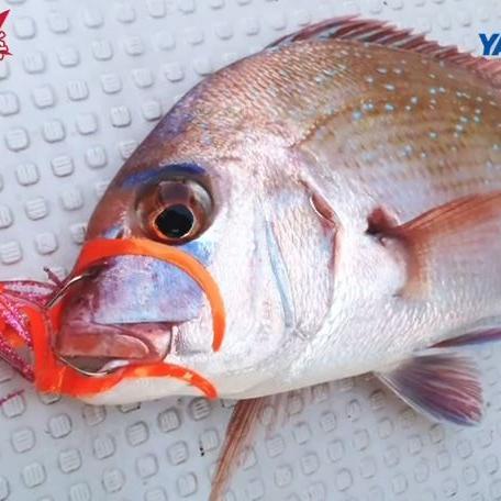 Japan Tackle Watch showcases new JDM lures, reels, rods and accessories as they are announced or released for sale.
