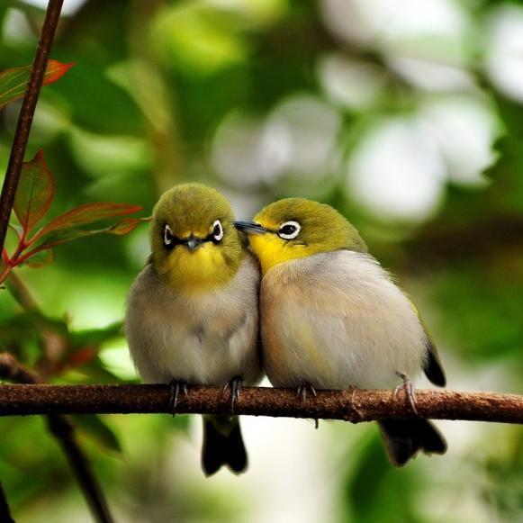 APaganos's profile picture. 