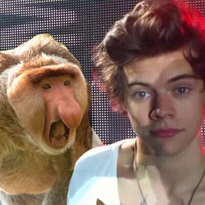 @harrystyles block me