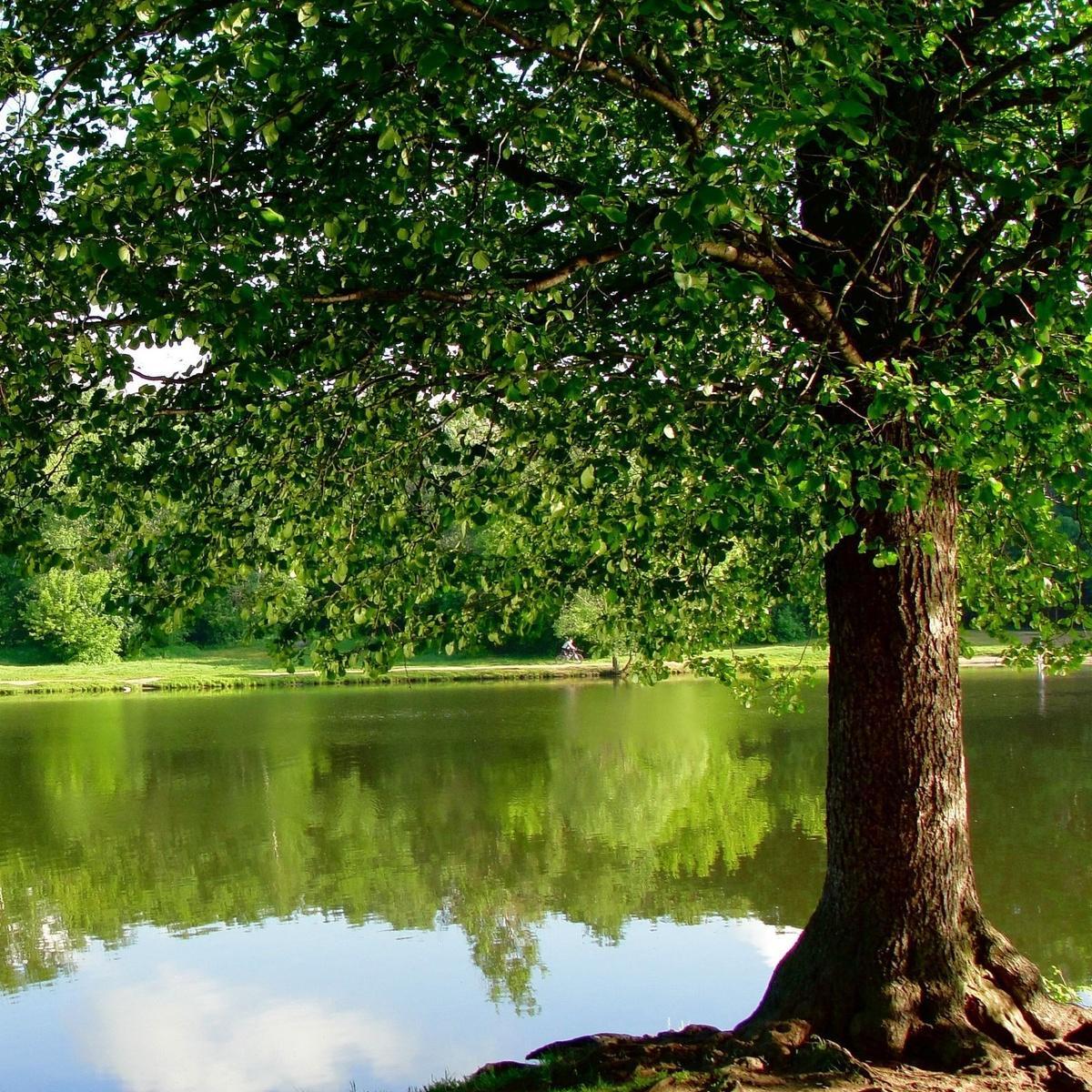 Muhtar_Dogan's profile picture. Doğan