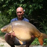 dave hull (@davehull4) 's Twitter Profile