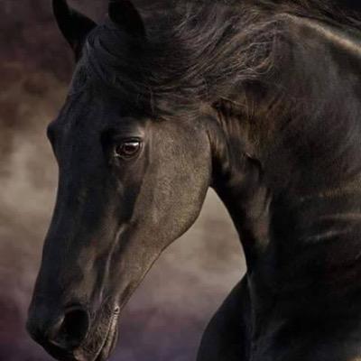 لا دور لي في المزاح مع البحرِ لكنني وَلَدٌ طائشٌ من هُواة التسكّع في جاذبيّة ماءٍ...