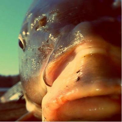 Kaprarina's profile picture. http://t.co/xOQJhIO0Or