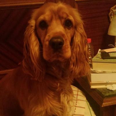 albalasergio's profile picture. 