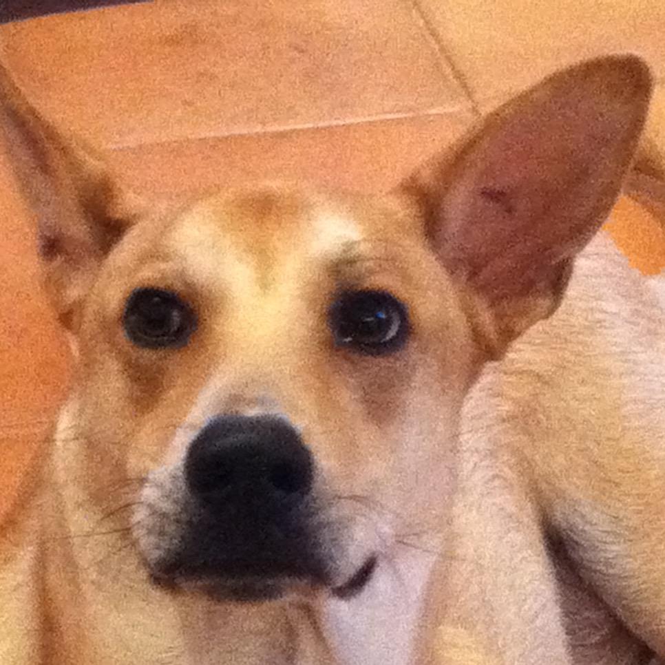 Emtangled's profile picture. can’t get the apples without the seeds