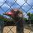 FeliuVI's profile image