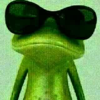 I follow back