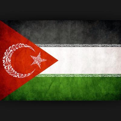 atmaca70ali's profile picture. 