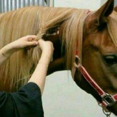 ﻻاله اﻻ الله وحده ﻻشريك له له الملك وله الحمد وهوا علي كل شيء قدير