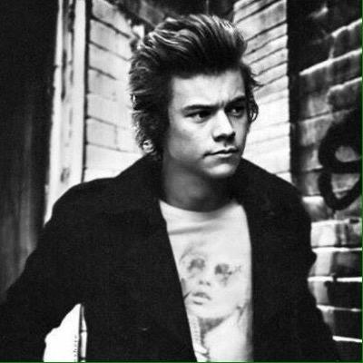 Harry's secret kitten that know about his journal. meow raconteur.