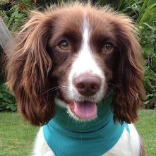 ImEmilyJoseph's profile picture. 