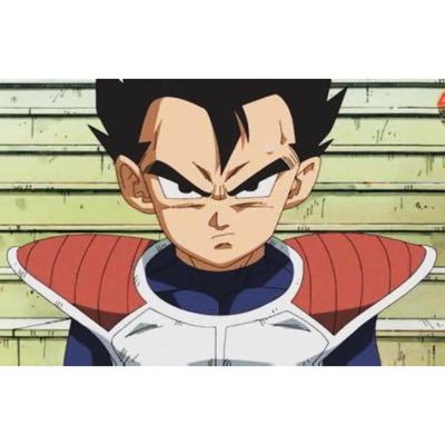 FrereDeVegeta's profile picture. Brother of Prince #DBZSquad