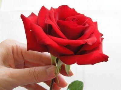 ضًـبً لَأّبًسِـ کْرفُـتٌـهّـ وٌلَهّـ سِـکْسِـوٌکْهّـ حًلَوٌةّ