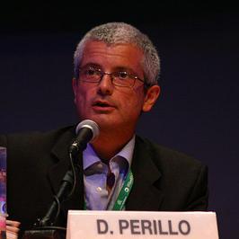 dperillo14 Profile Picture