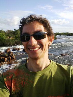 Software Engineer OO, C#, .Net, PHP and Java.