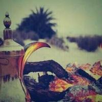 مجالس قبيلة البدور (@albdoorcom) Twitter profile photo