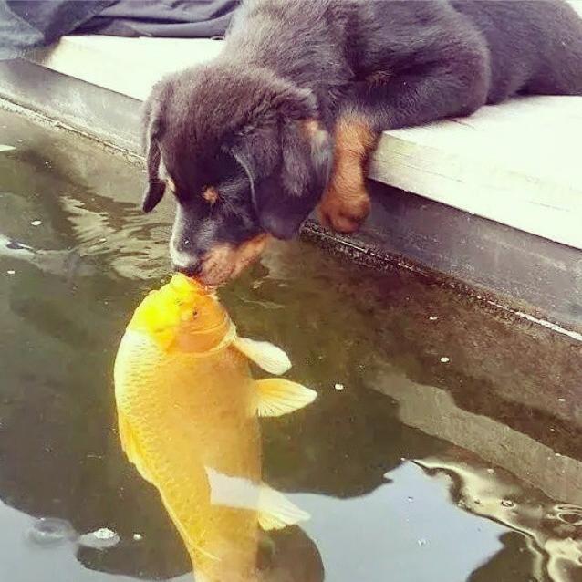 elson_elson13's profile picture. anything spiritual, peaceful and positive.  Anticipating the incoming changes with excitement