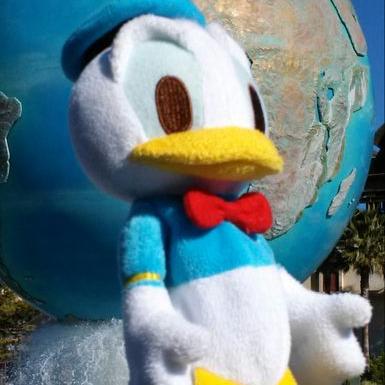 ん ちゃん サルアミ くん 完成 お帽子がナブルに次ぐ重さ 我が家調べ W で 頭はグラングラン 頑張れ うちの子 うちの子達の記念撮影 Tds ドナルド ぬい撮り ぬいコス ハンドメイド ハンドメイドコスチューム 手作り