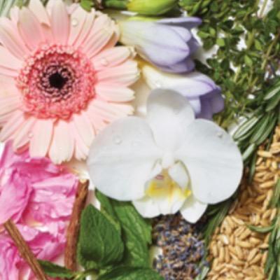 botanical_b's profile picture. Eco-friendly MUA's committed to helping people make informed decisions about safe cosmetics. Available for masterclasses in groups or 1on1 using vegan products