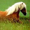 amber stanley - @Amber5657Amber - Twitter