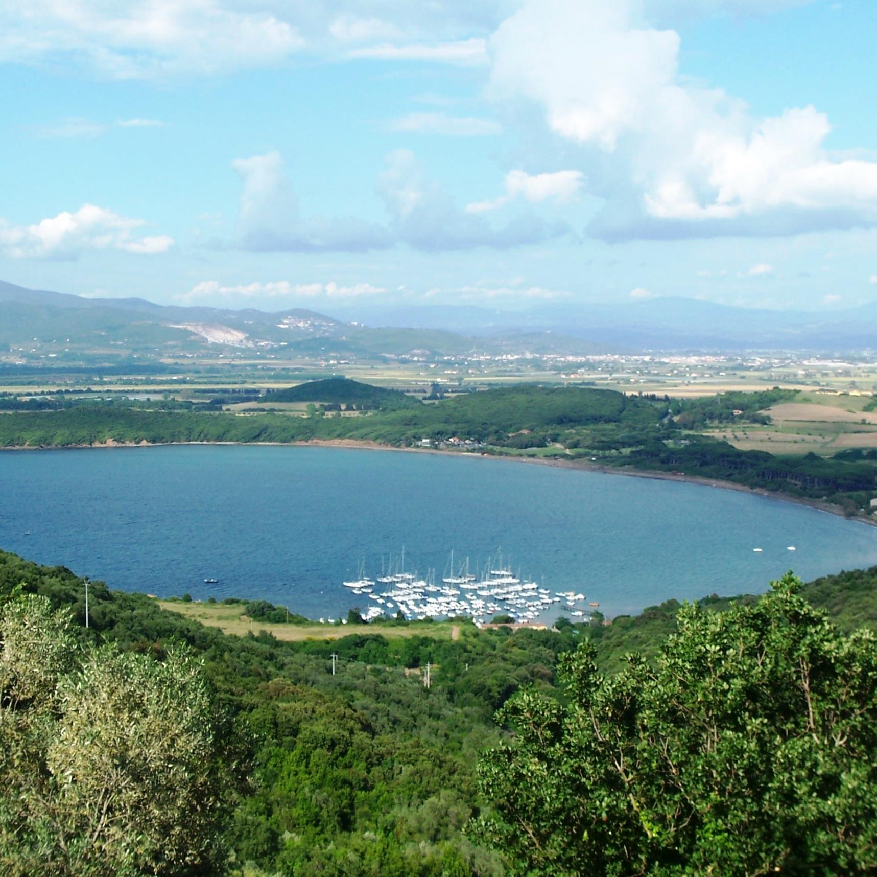 AttilioPecchia's profile picture. 