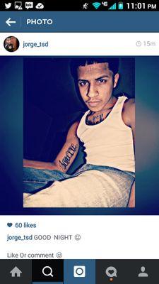 S.T.A.Y.↔.A.C.T.L.F.V.E