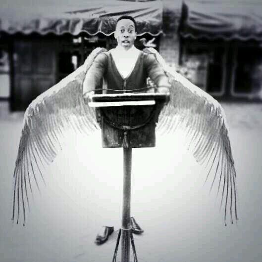 sheltontinaz9's profile picture. The Objective