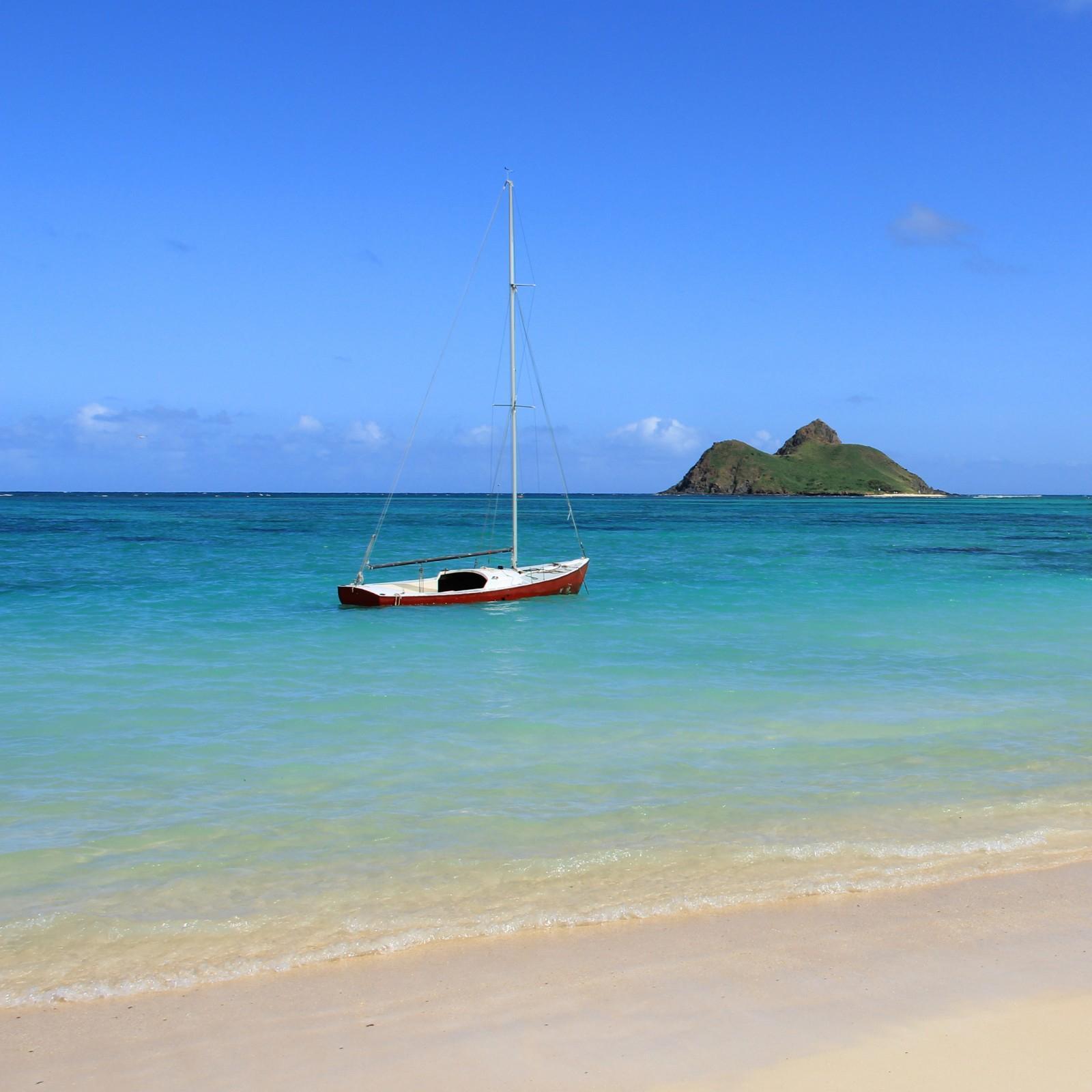 irsoy_necati's profile picture. Necati İrsoy