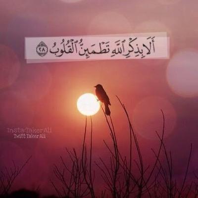 وَعَلَى سَبِيلِ ألأَلَم .. قِـطعَة مِنْ قَـلبِي فِي َأحَدِ ألقُـبُور .. #أبي_رحمه_الله