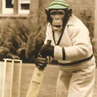 Narborough Cricket  (@narborocricket1) 's Twitter Profile