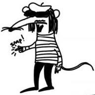 Bestofpoetry's profile picture. We tweet and retweet: news, videos and texts concerning poetry, poetry slam and hashtags with #poetryjam #poetry #poetrycypher