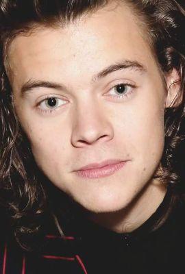 DirectionerFlen Profile Picture