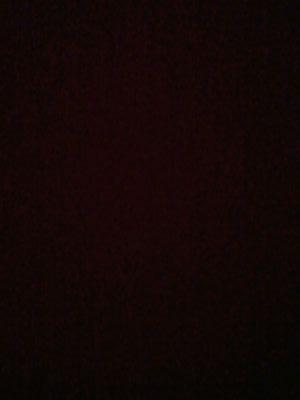 josecar10823694's profile picture. 