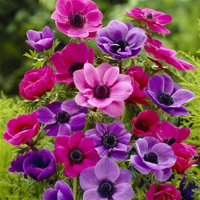 RSobotik's profile picture. Prodáváme maloodběratelům za velkobchodní ceny