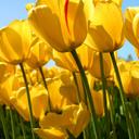 jennifer mansfield - @jenny_mansfield - Twitter