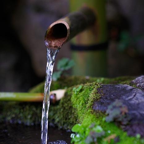 Edenstrm's profile picture. Gathering words in the stream of life...