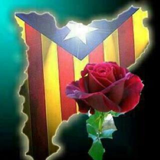 auxiliar de clinica,catalana independentista,cule fins a la medula
