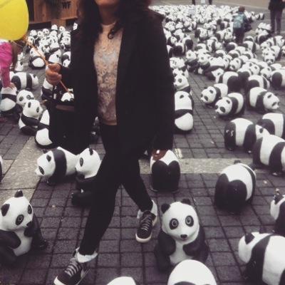 zuckerboot's profile picture. 