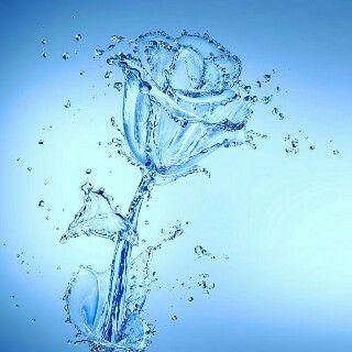 nisrina_Nz's profile picture. Fakultas Keperawatan Universitas Airlangga; vardgivare 2012!