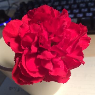 junlight's profile picture. 照明器具 アルミを主にした家具の製造販売 メーカー独り。。