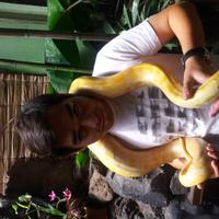 Roberto Castro P (@robert007c) 's Twitter Profile
