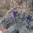 baheti_dhiraj's profile image