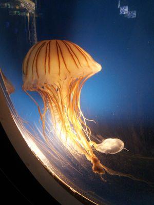 yakk390's profile picture. 