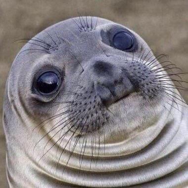 Designer |former:Geo,Real,Rural,Rest- I only join teams that use skype!!!