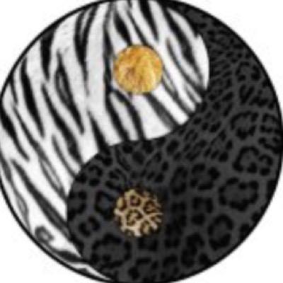 raising awareness for the black jaguar white tiger foundation and its cause