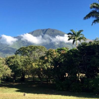 pupisalasp's profile picture. 