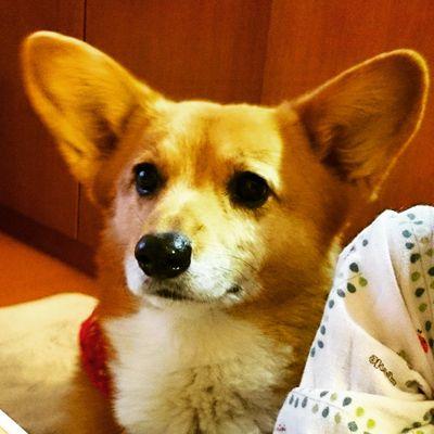 bobyhime Profile Picture