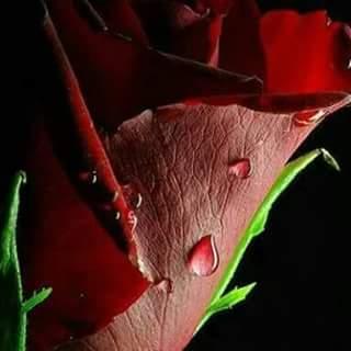 ‏ تابعني اتابعك
